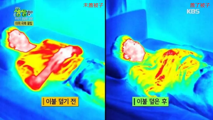 红外热像仪检测出夏季盖棉被睡觉可以降温？谬论！.png