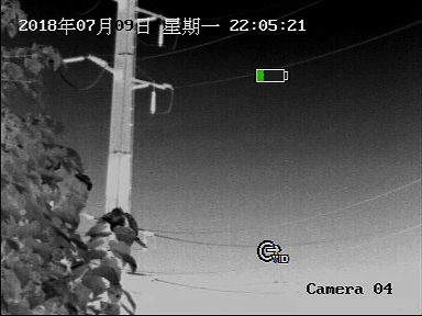 5bd1411bb331e.jpg TA435视频截图2.jpg