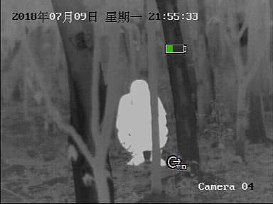 TA435shipinjietu4.jpg