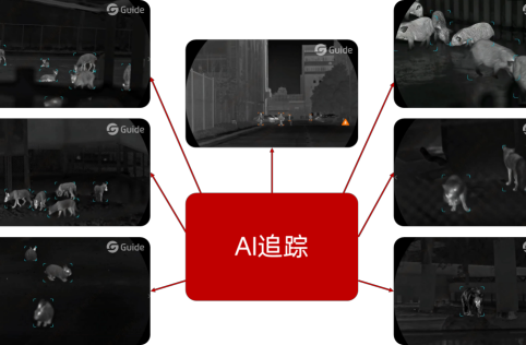 2(1)(1).png